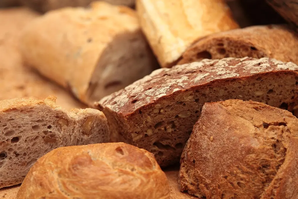 Guía para principiantes en panadería artesanal